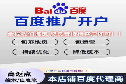 百度竞价包年推广案例分析